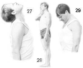 This is a nice picture